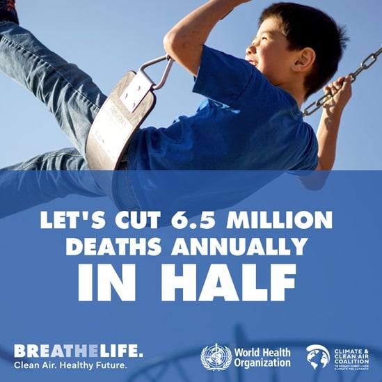 Cut 6.5 million deaths from air pollution infographic